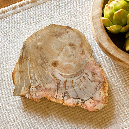 petrified wood cheese board