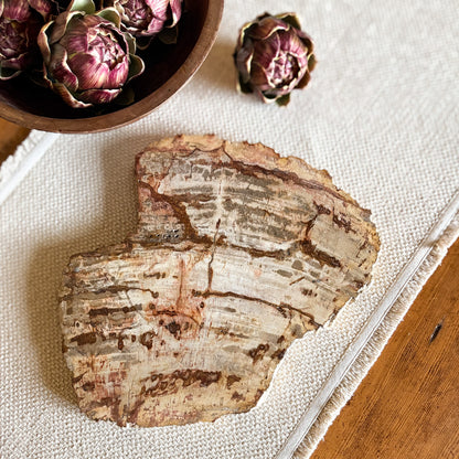 Indonesian petrified wood serving board with natural stone grain and organic edge