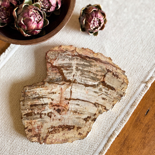 Indonesian petrified wood serving board with natural stone grain and organic edge