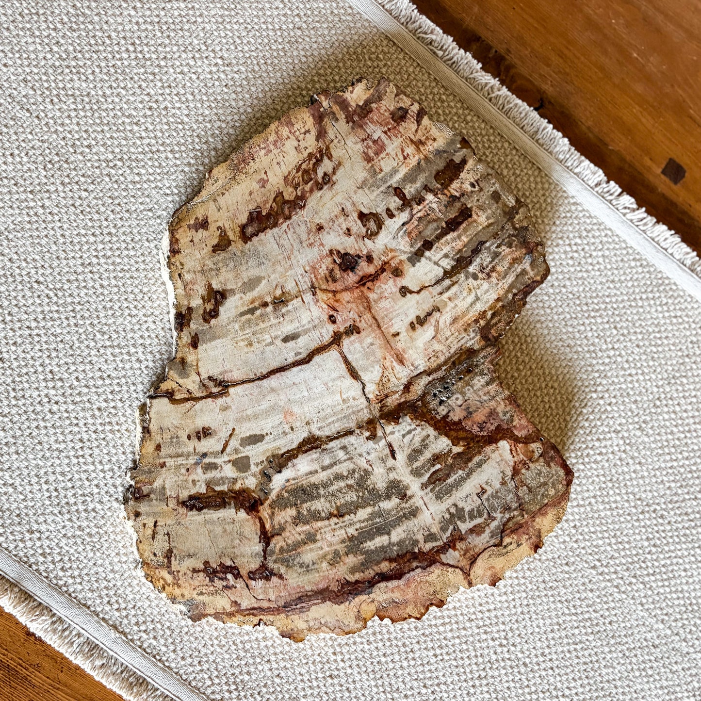 Indonesian fossilized wood serving platter showcasing distinctive earth-tone mineral patterns