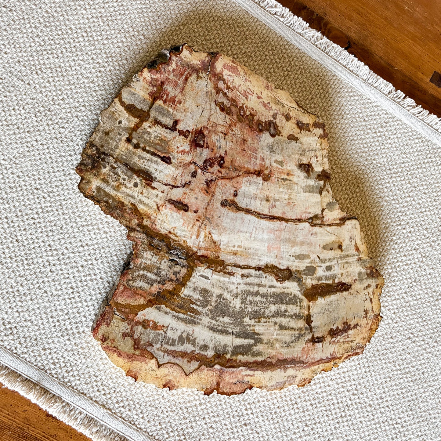 Natural petrified wood charcuterie board sourced from Indonesia with polished finish