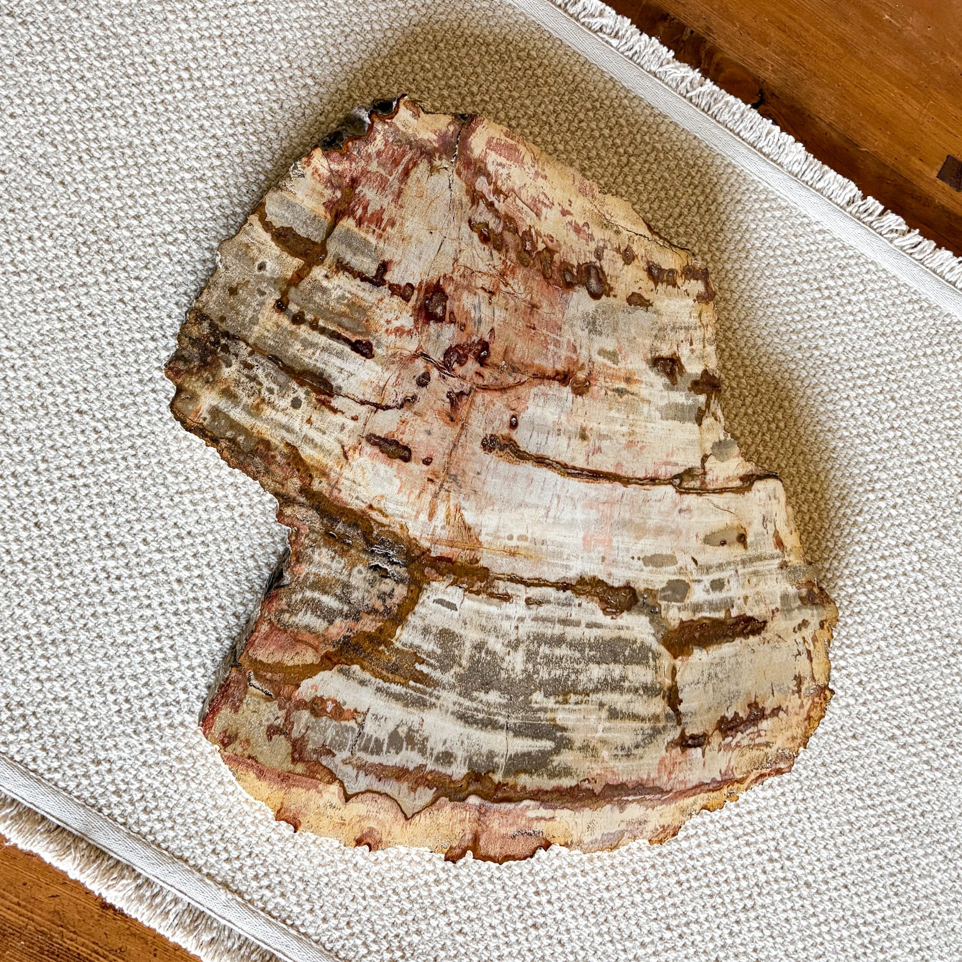Natural petrified wood charcuterie board sourced from Indonesia with polished finish