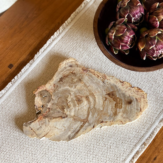 Elegant fossilized wood serving platter from Indonesia featuring rich earth-tone colors and organic textures