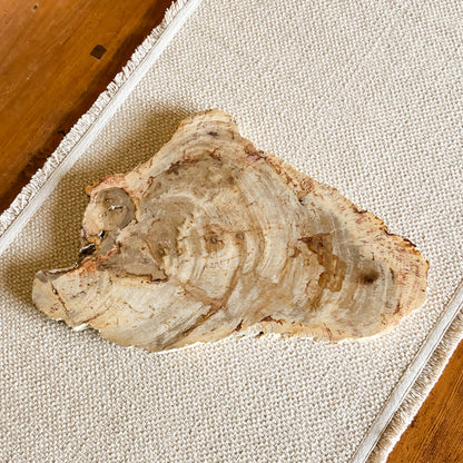 Handcrafted Indonesian petrified wood board with smooth finish and naturally preserved wood structure