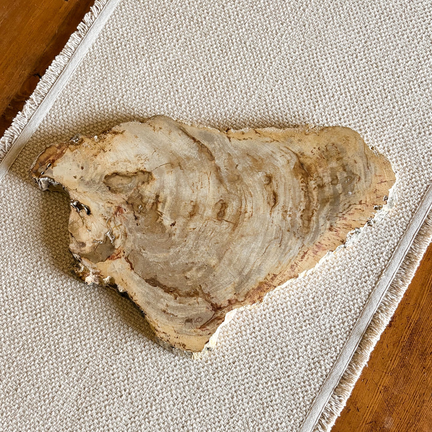 Natural Indonesian petrified wood charcuterie board with durable polished surface
