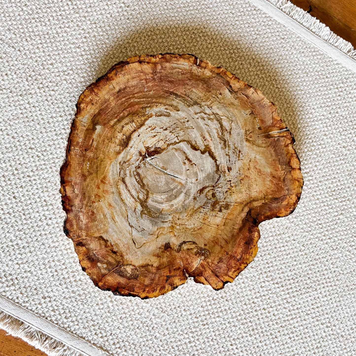 Indonesian fossilized wood serving platter showcasing distinctive earth-tone mineral patterns