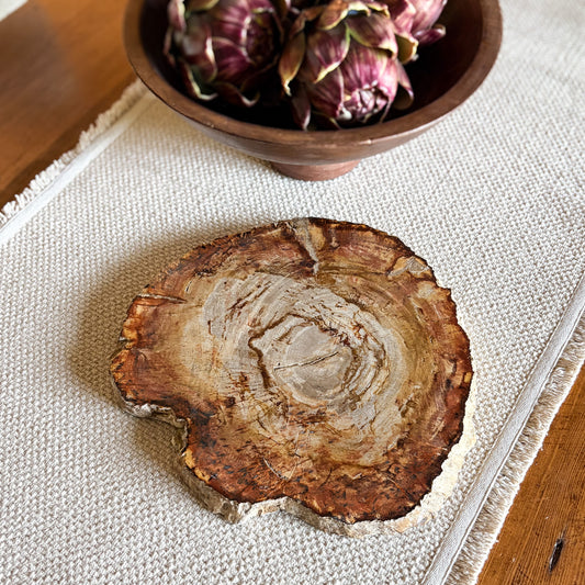 Natural Indonesian petrified wood charcuterie board with durable polished surface