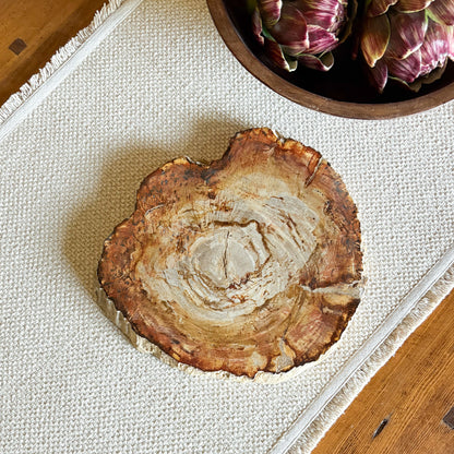 Luxury petrified wood serving board made from ancient Indonesian fossilized wood