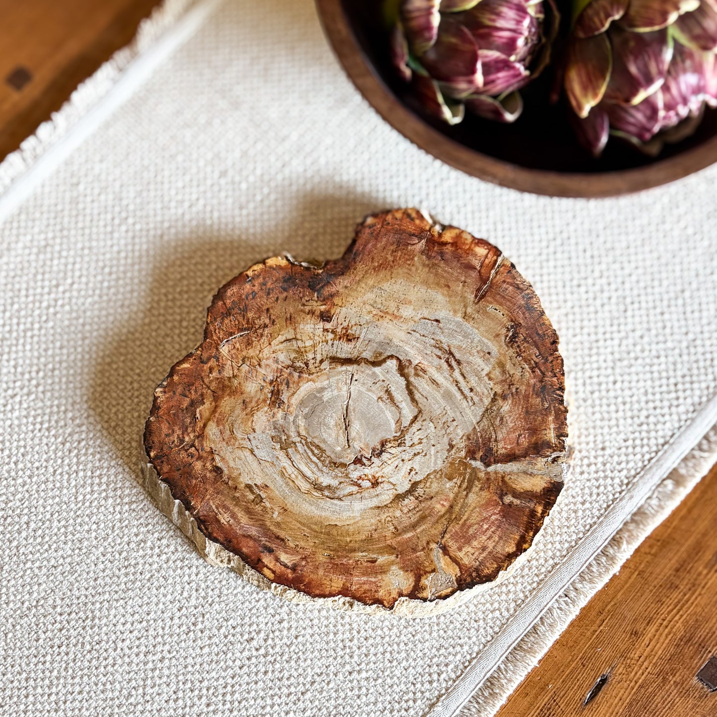 Natural petrified wood charcuterie board sourced from Indonesia with polished finish