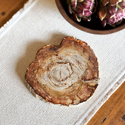 Natural petrified wood charcuterie board sourced from Indonesia with polished finish
