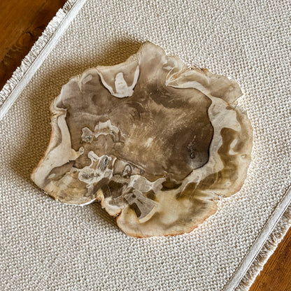 Natural Indonesian petrified wood charcuterie board with durable polished surface