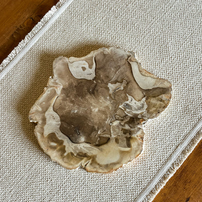 Hand-polished Indonesian petrified wood cheese board with unique natural fossil patterns