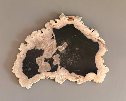 One-of-a-kind petrified wood serving board featuring a dark polished interior and irregular natural cream-colored edges.