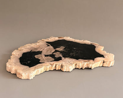 Natural Edge Petrified Wood Serving Board