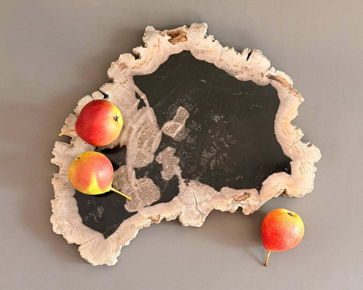 Organic petrified wood serving board showcasing dramatic black and cream coloration, natural grain patterns, and an irregular silhouette.