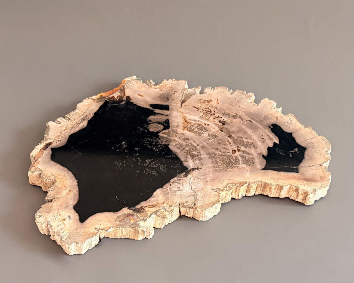 Natural Edge Petrified Wood Serving Board