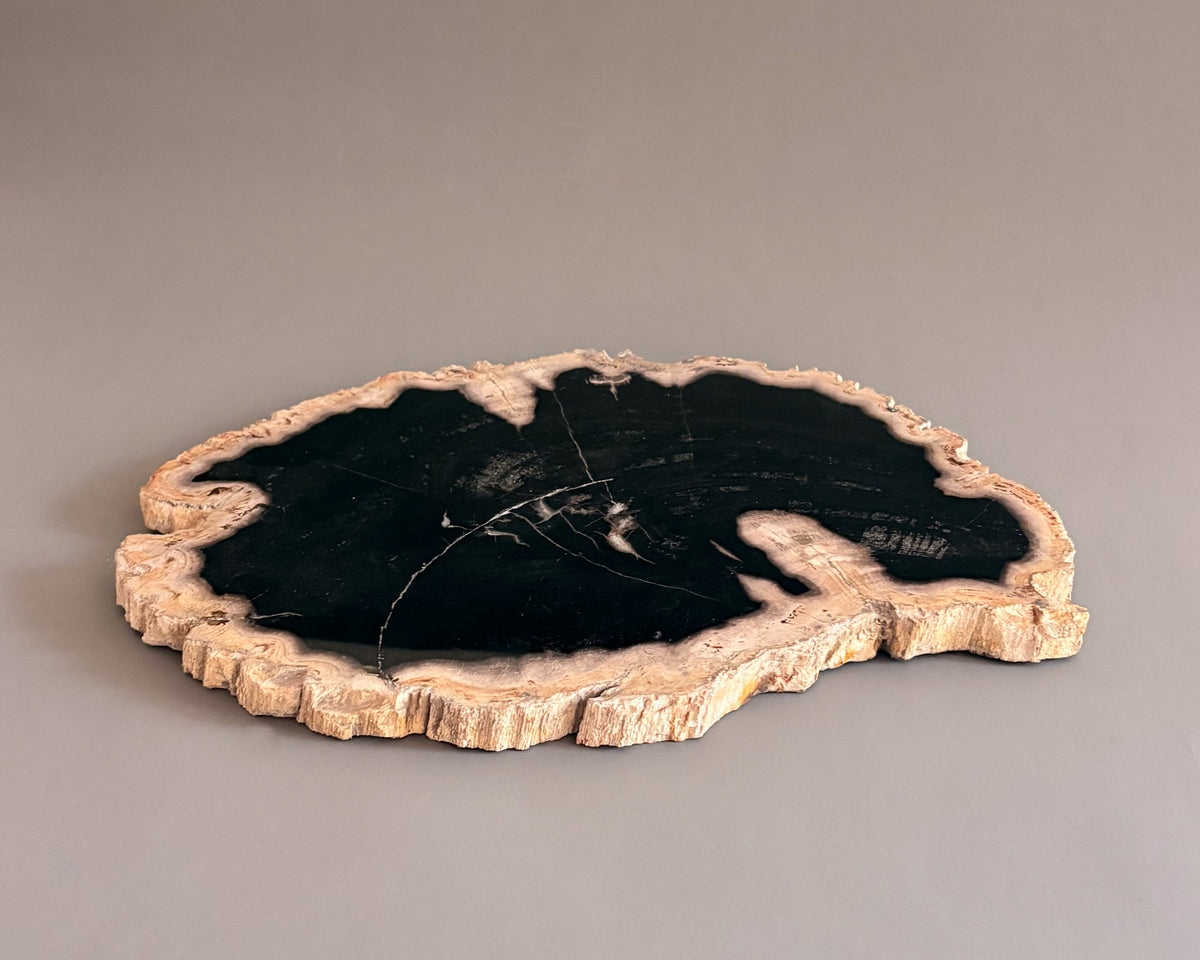 Natural Edge Petrified Wood Serving Board