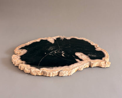 Natural Edge Petrified Wood Serving Board