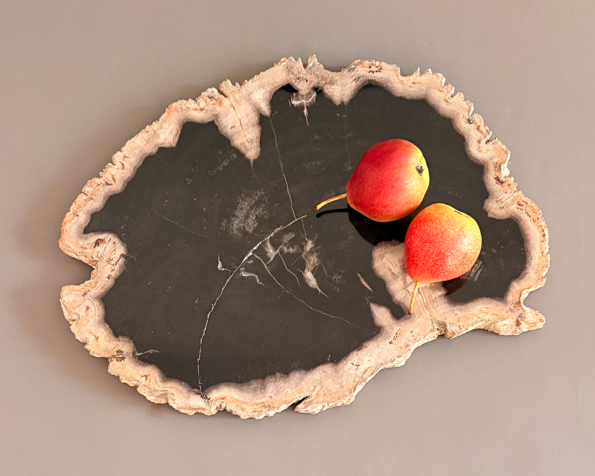 Organic petrified wood serving board showcasing dramatic black and cream coloration, natural grain patterns, and an irregular silhouette.