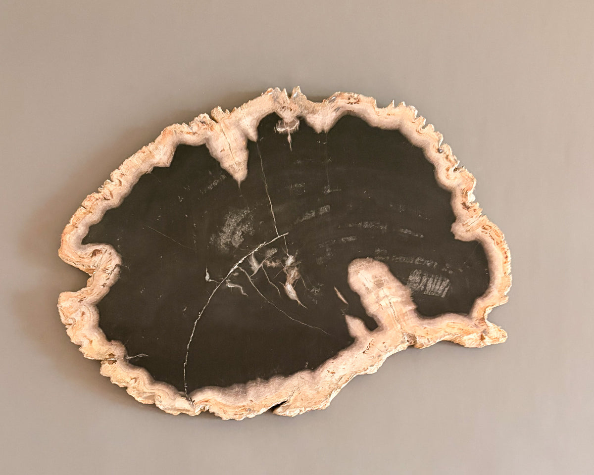 Natural Edge Petrified Wood Serving Board