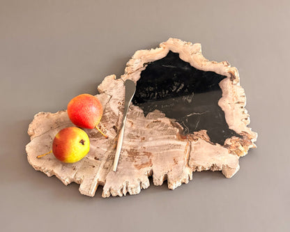 Natural Edge Petrified Wood Serving Board