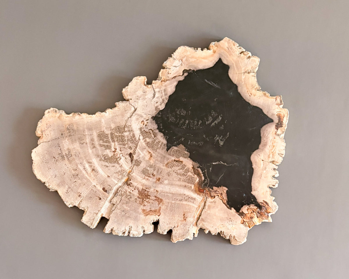 Natural Edge Petrified Wood Serving Board