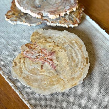 inodonesian petrified wood cheese board, modern rustic kitchen decor