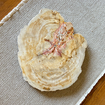 indonesian petrified wood cheese board