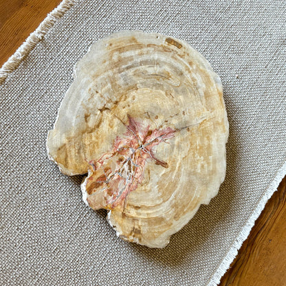 petrified wood serving platter, natural stone serving tray