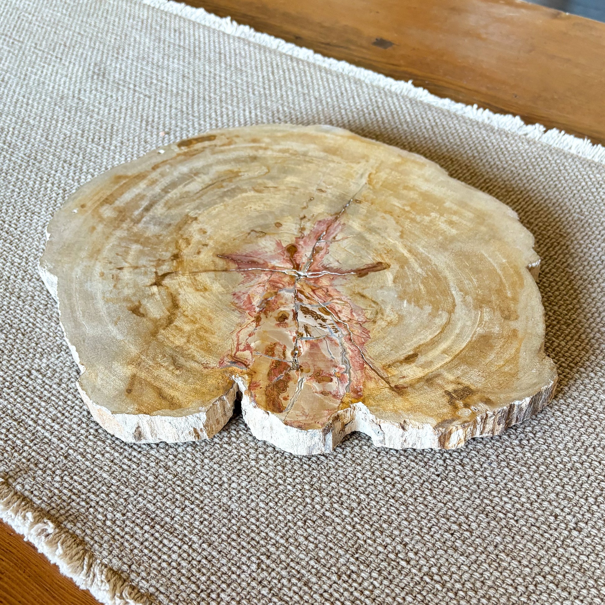 indonesian petrified wood charcuterie board