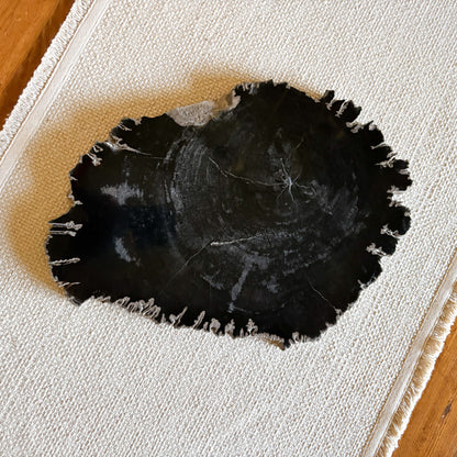 petrified wood cheese board