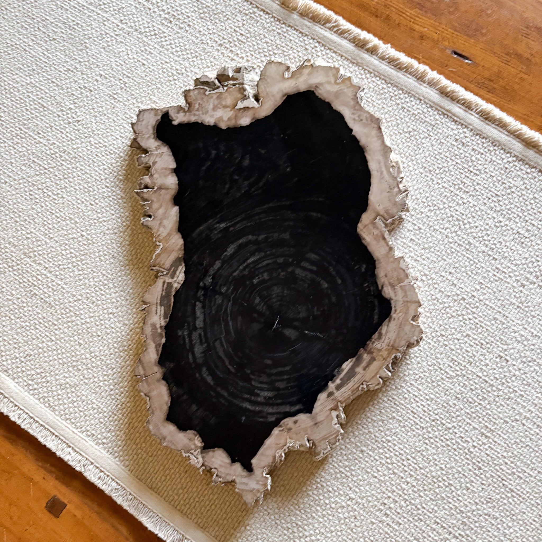 Natural Stone Serving Tray - Petrified Wood Charcuterie Board