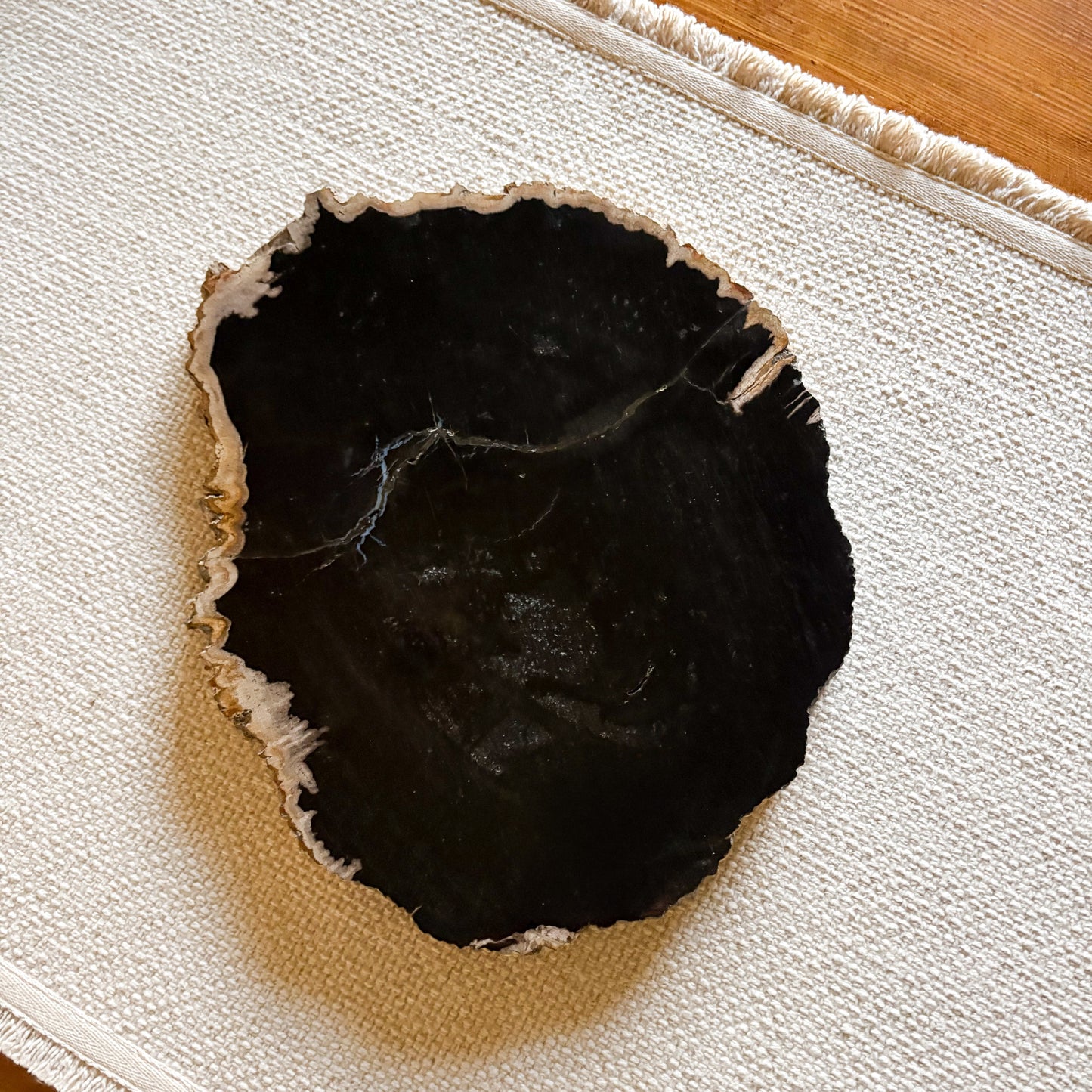 black indonesian petrified wood cheese board
