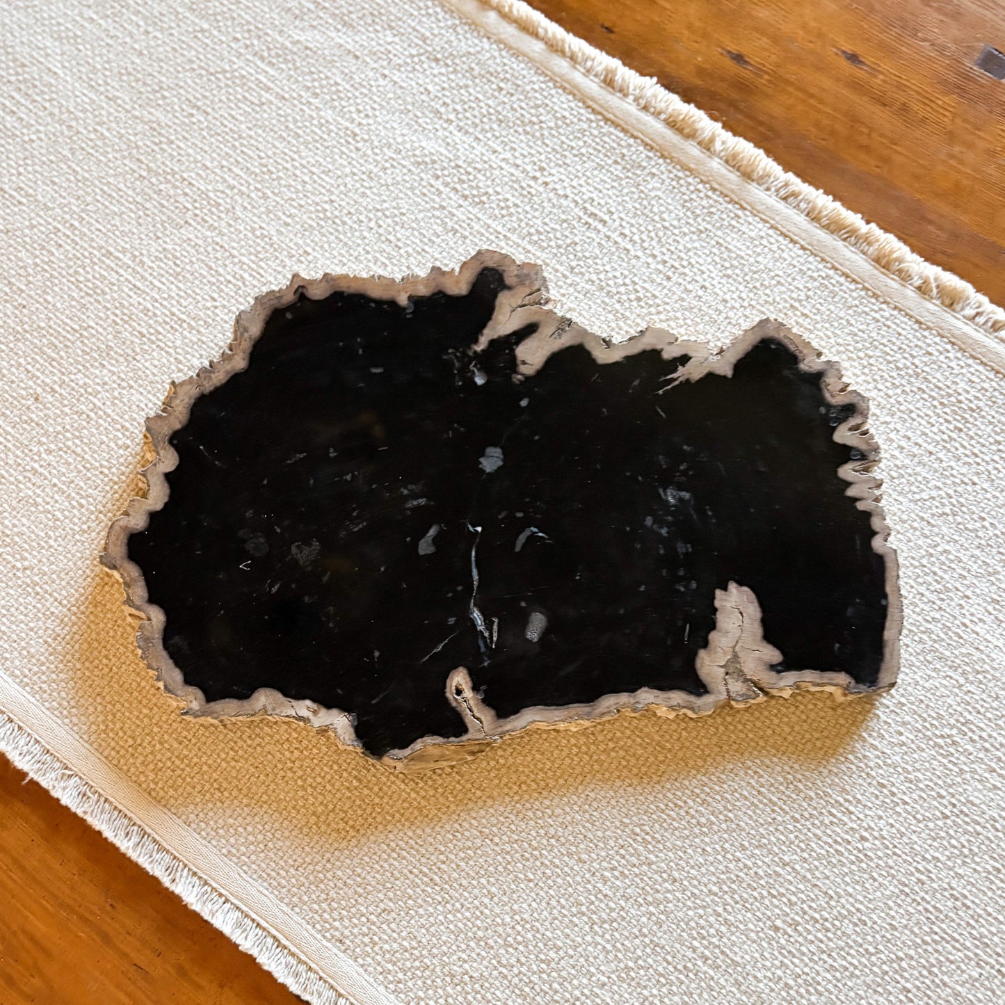 black indonesian petrified wood cheese board