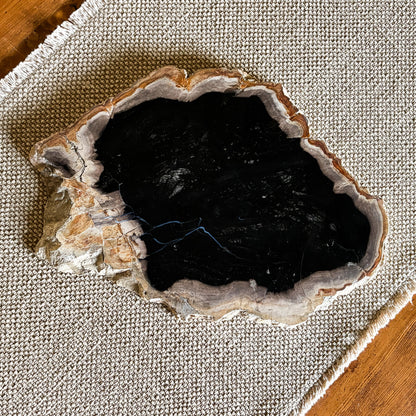 Genuine Indonesian petrified wood board for charcuterie, cheese, and entertaining
