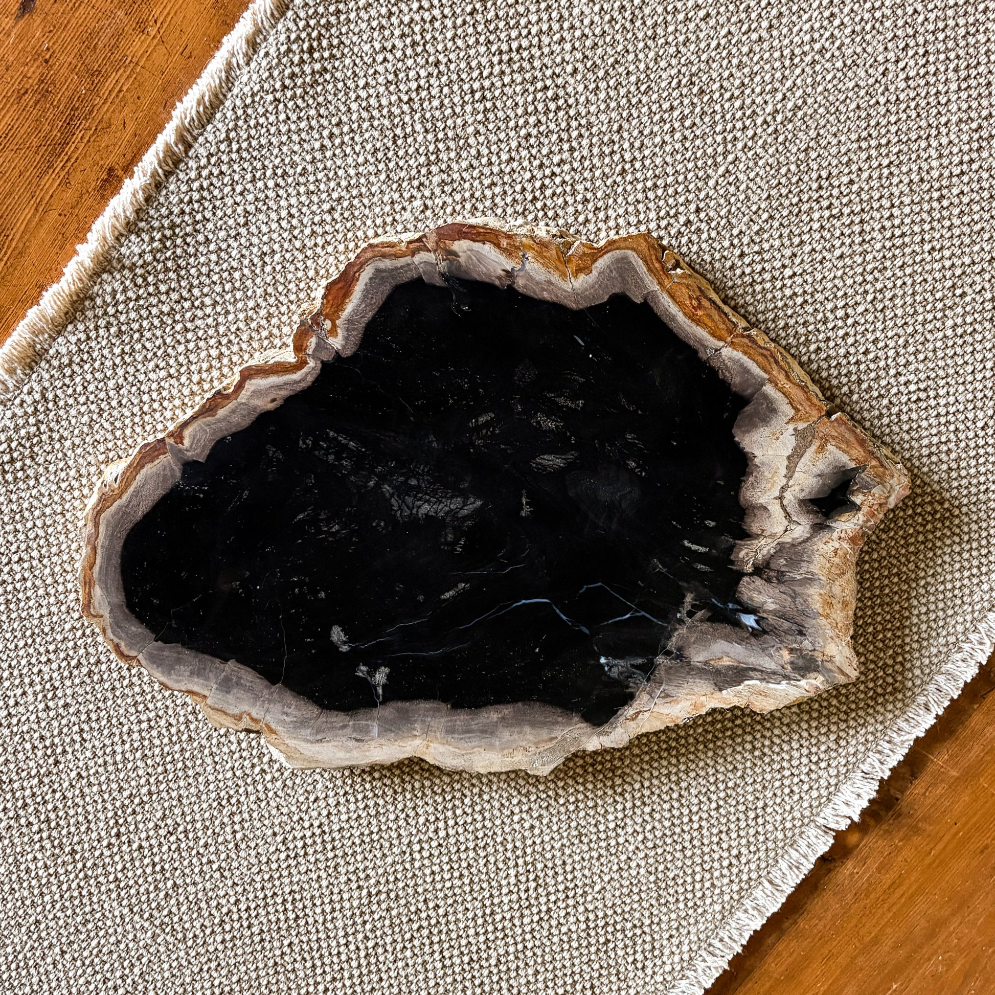 Fossilized wood serving platter displayed on a modern dining table