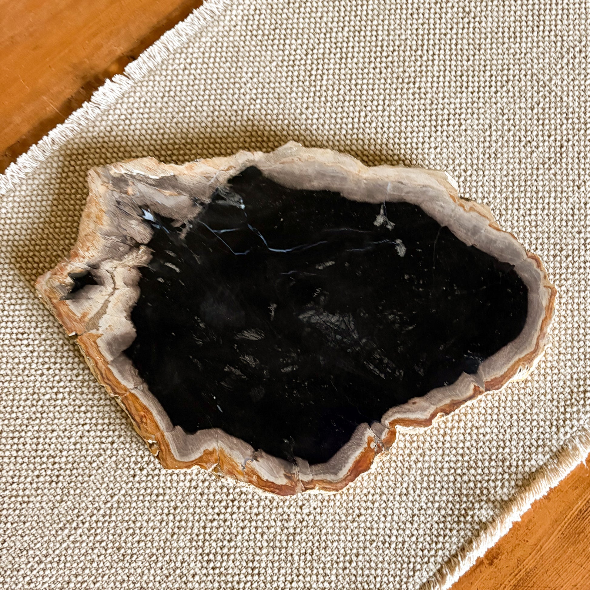 Luxury petrified wood serving platter handcrafted from ancient fossilized wood
