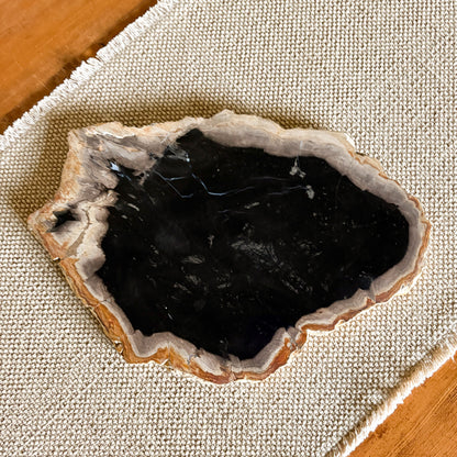 Luxury petrified wood serving platter handcrafted from ancient fossilized wood