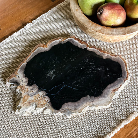 Indonesian petrified wood serving board with natural fossilized wood grain and polished finish