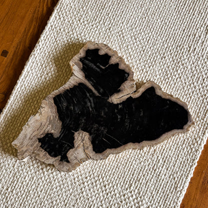 Luxury Indonesian petrified wood cheese board featuring ancient fossilized wood grain