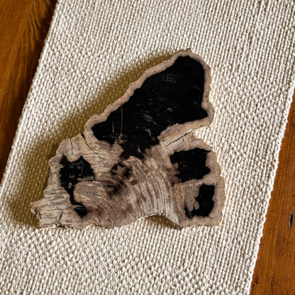 Handcrafted Indonesian petrified wood charcuterie board showcasing unique fossilized wood patterns