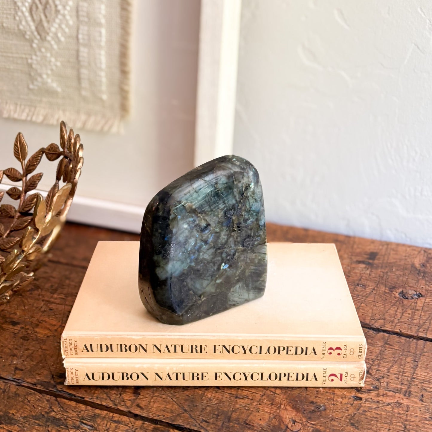 Labradorite stone on top of Audubon Nature Encyclopedia books on a wooden surface