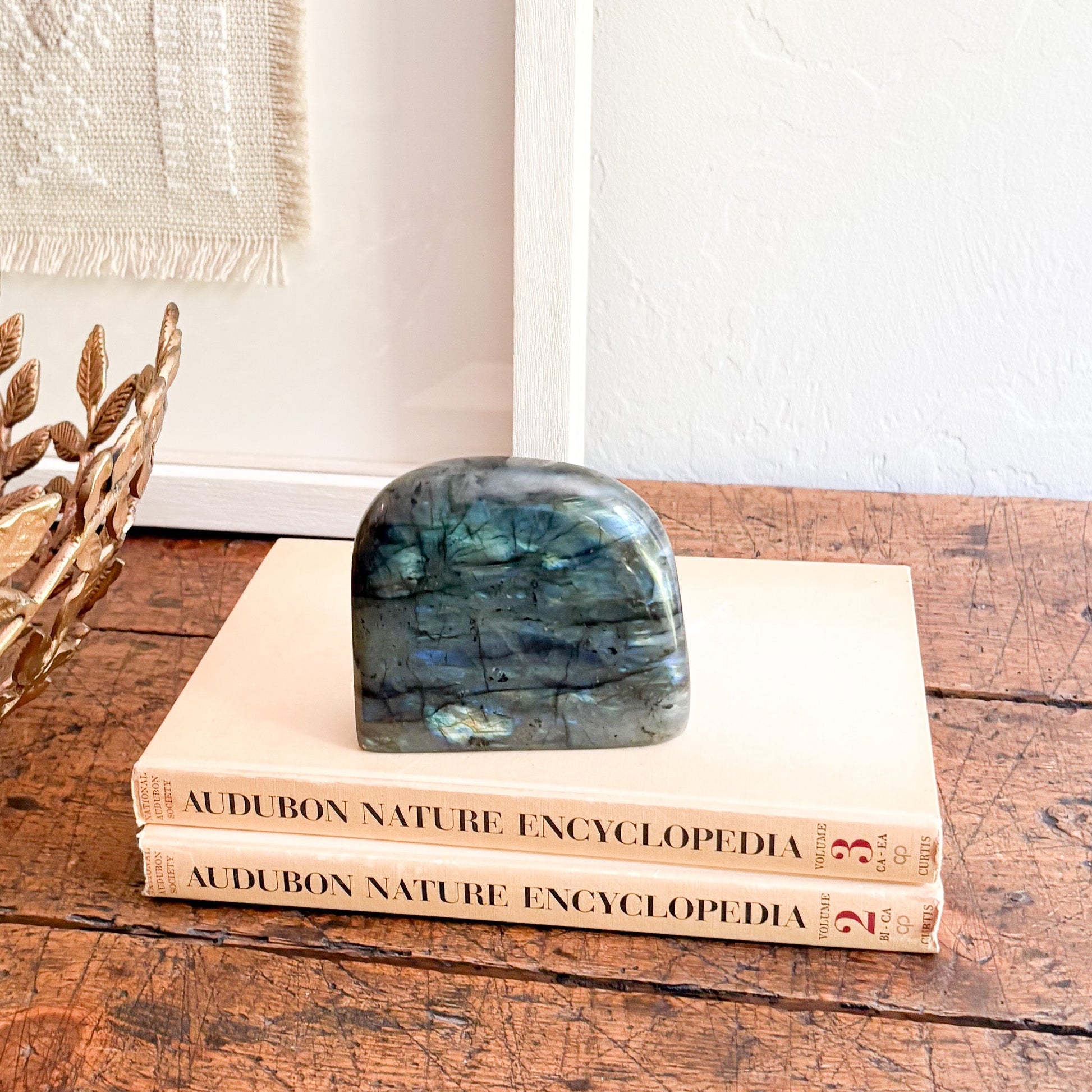 Crystal on top of two 'Audubon Nature Encyclopedia' books on a wooden surface