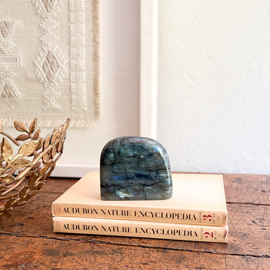 Labradorite stone on top of Audubon Nature Encyclopedia books with a decorative gold object and textured wall in the background.