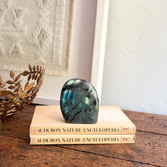 Labradorite stone on top of Audubon Nature Encyclopedia books with a decorative plant on a wooden surface.