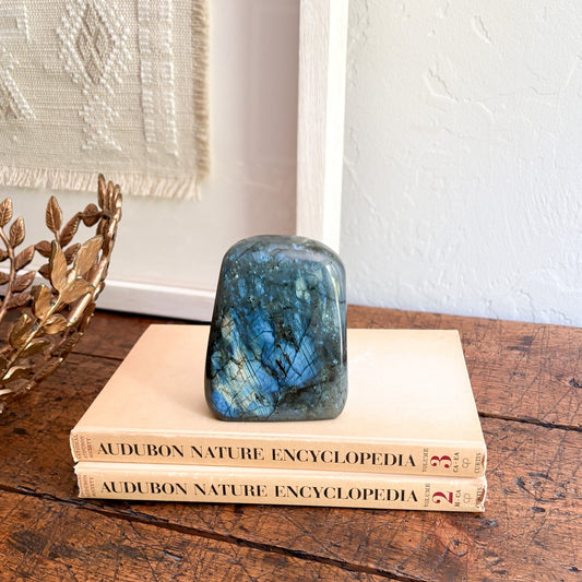 Blue crystal on top of two 'Audubon Nature Encyclopedia' books on a wooden surface.