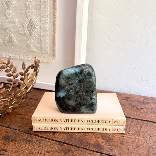 Labradorite stone on top of two 'Audubon Nature Encyclopedia' books on a wooden surface.