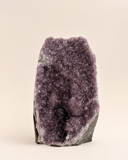 One-of-a-kind amethyst geode featuring fine druzy crystals and earthy mineral tones