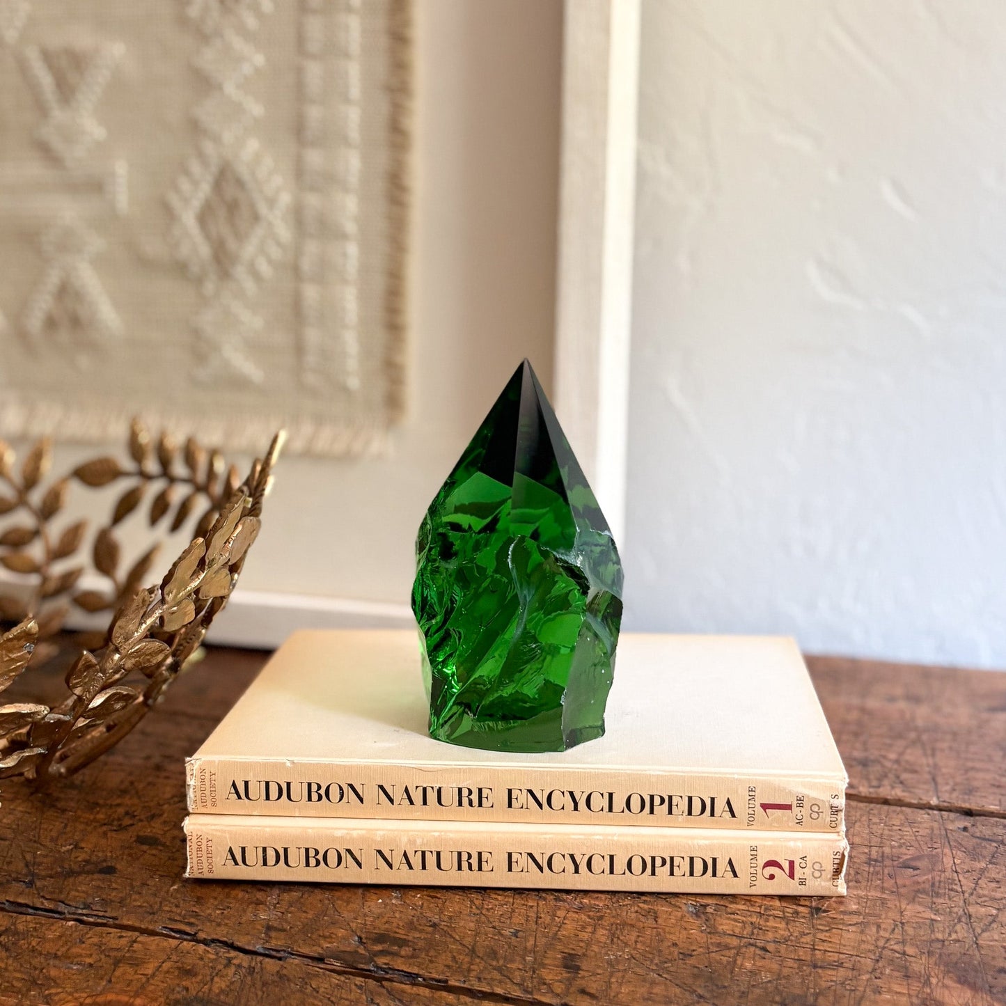 Green glass on top of two 'Audubon Nature Encyclopedia' books with a decorative background