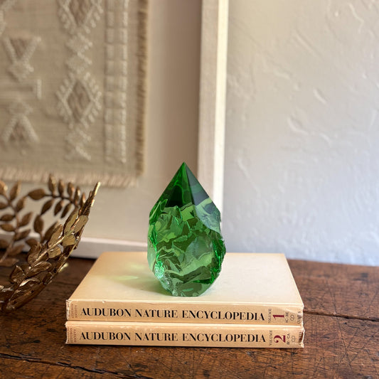 Green glass sculpture on top of two 'Audubon Nature Encyclopedia' books with a decorative plant in the background.